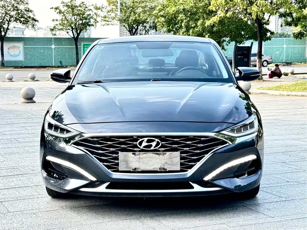 Hyundai Fista — фото 2