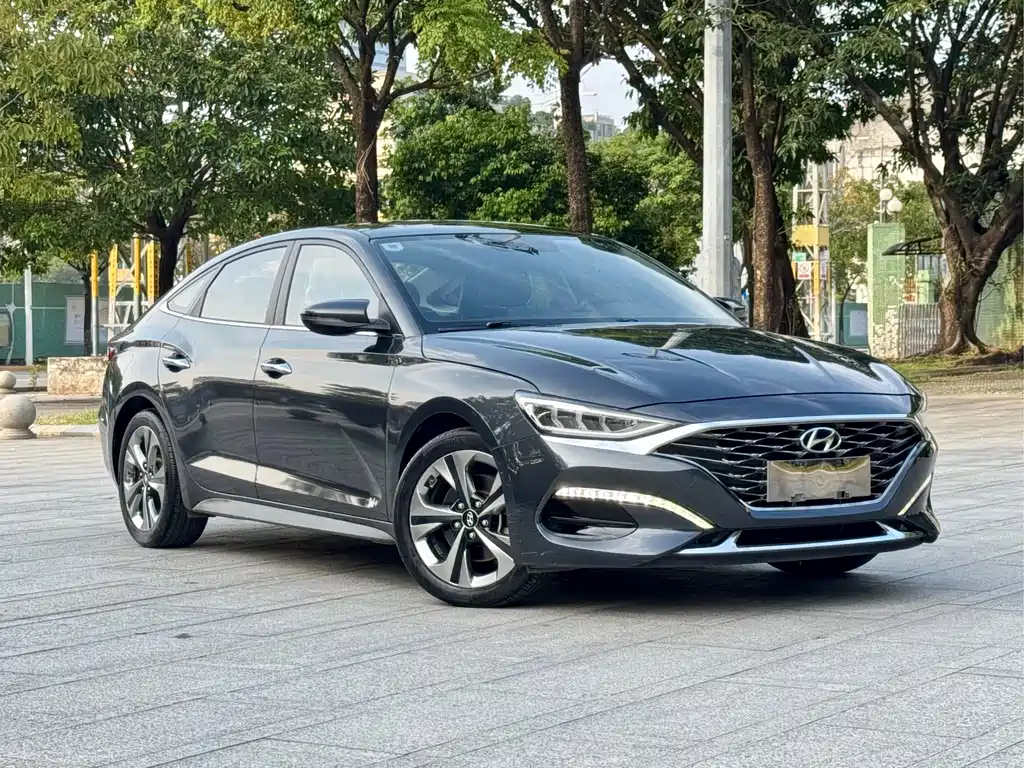 Hyundai Fista — фото 3