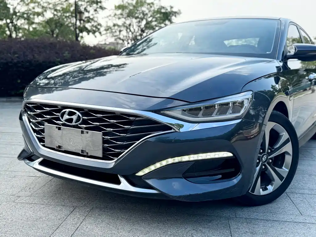 Hyundai Fista — фото 21