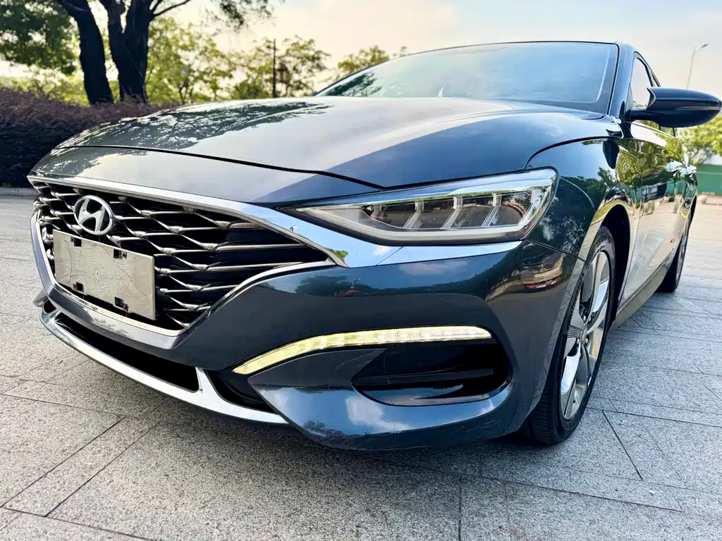 Hyundai Fista — фото 23