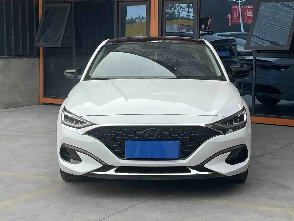 Hyundai Fista — фото 2