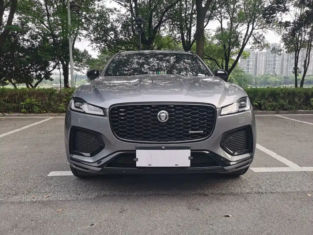 Jaguar F-PACE — фото 2