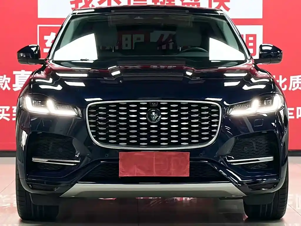 Jaguar F-PACE — фото 3