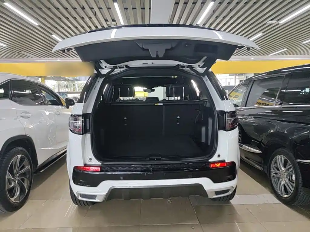 Land Rover Discovery Sport — фото 19