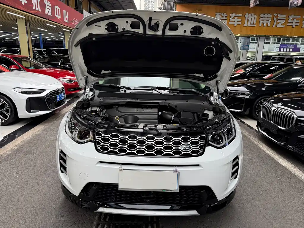 Land Rover Discovery Sport — фото 31