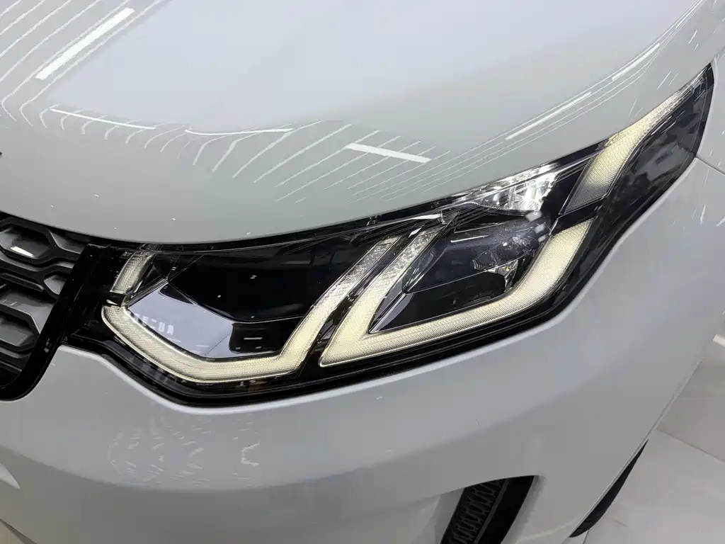 Land Rover Discovery Sport Hybrid — фото 23