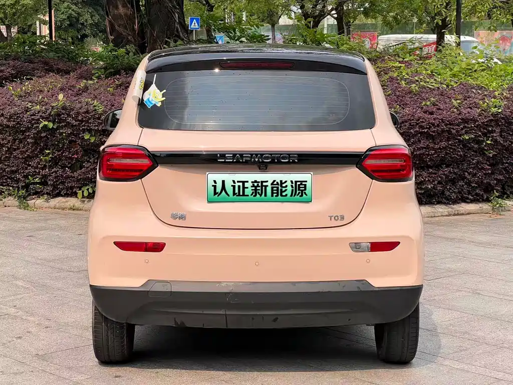 Leapmotor Leapmotor T03 — фото 13