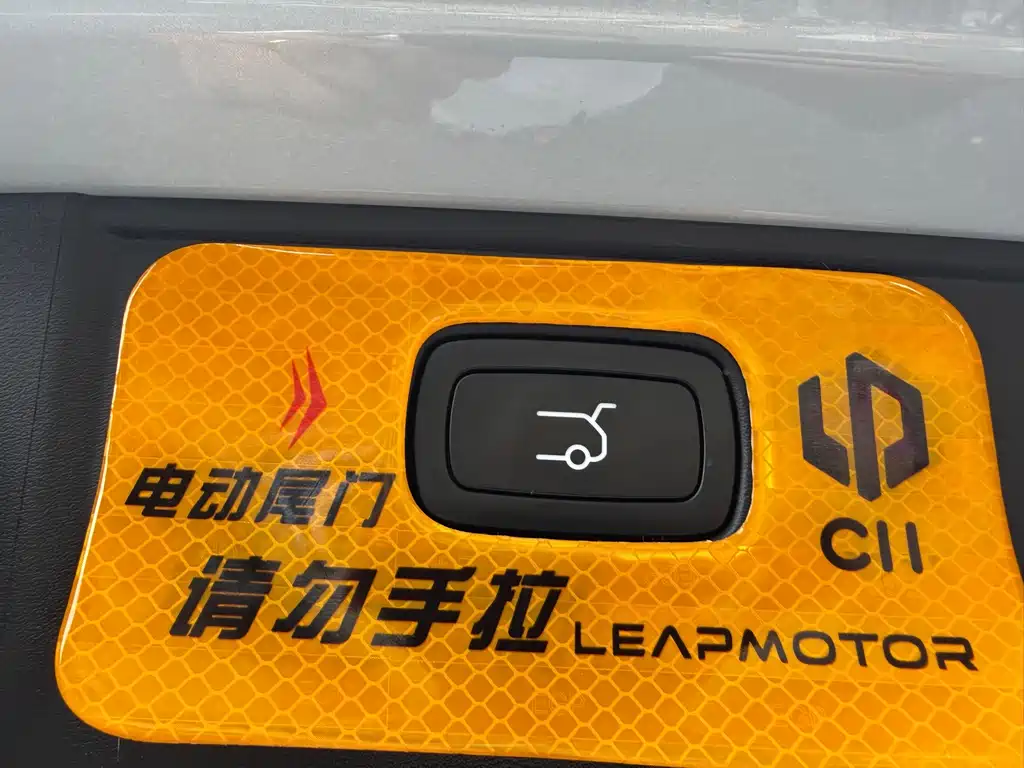 Leapmotor Leapmotor C11 — фото 13