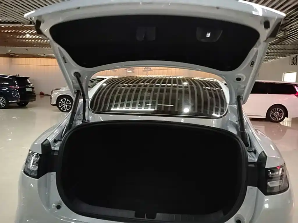 Leapmotor Leapmotor C01 — фото 19