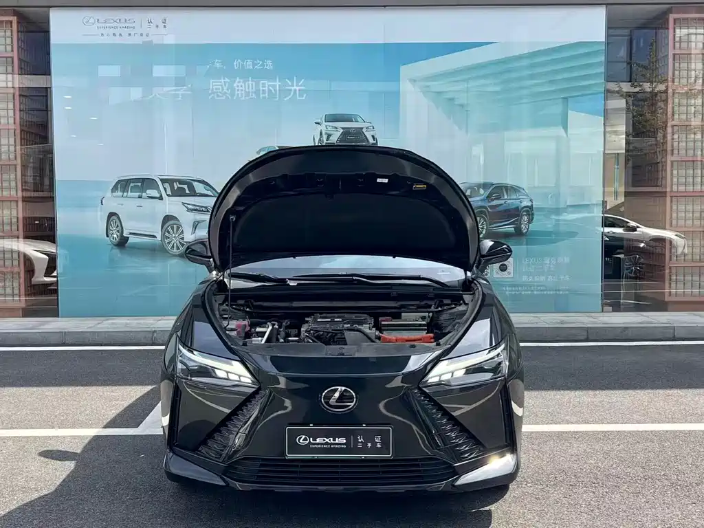 Lexus RZ — фото 4