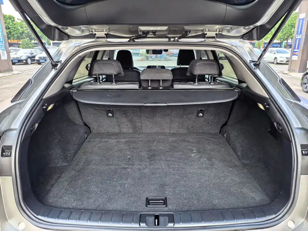 Lexus RX — фото 17