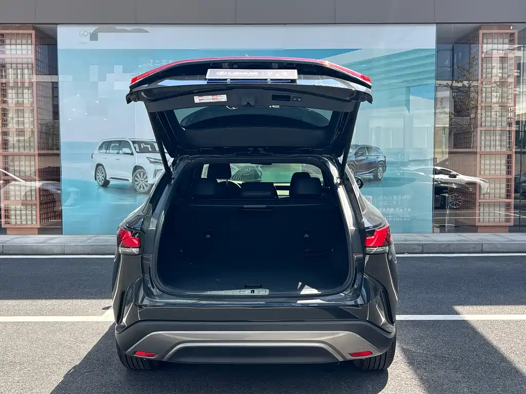 Lexus RX — фото 10