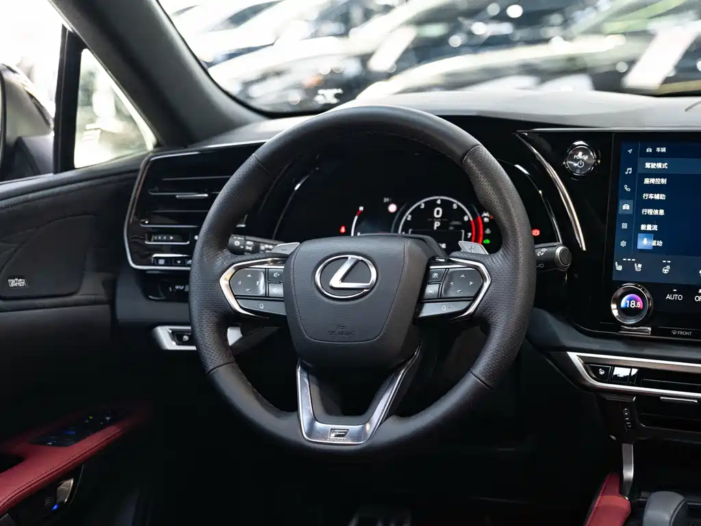 Lexus RX — фото 14