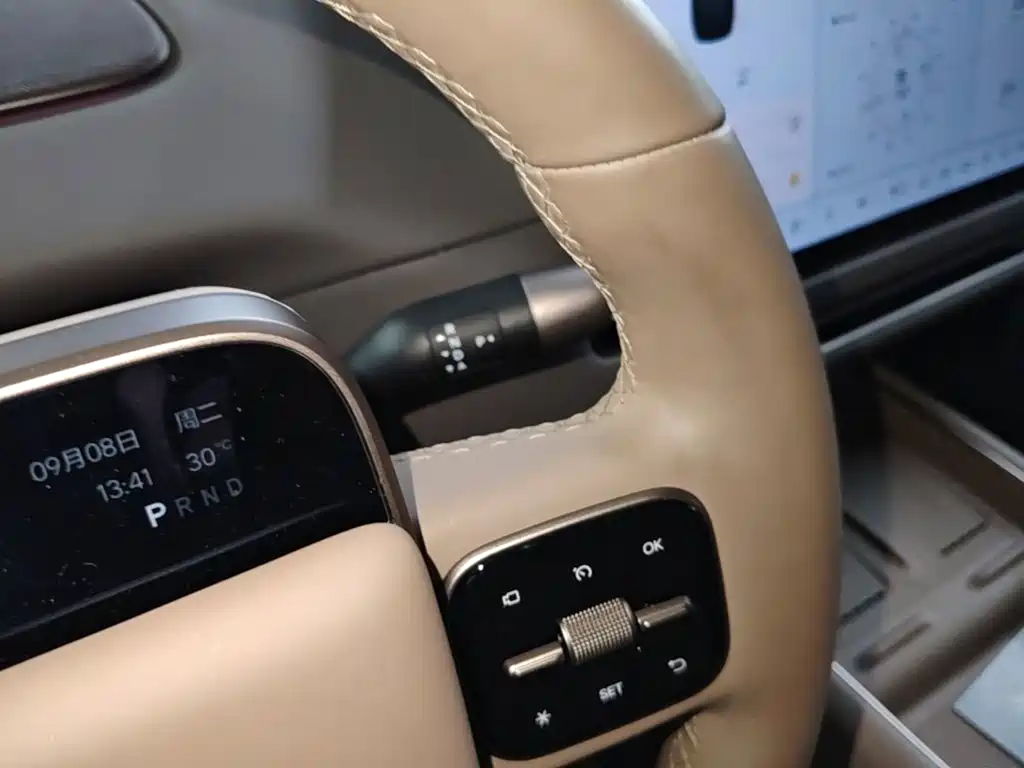 Li Auto Li i8 — фото 14