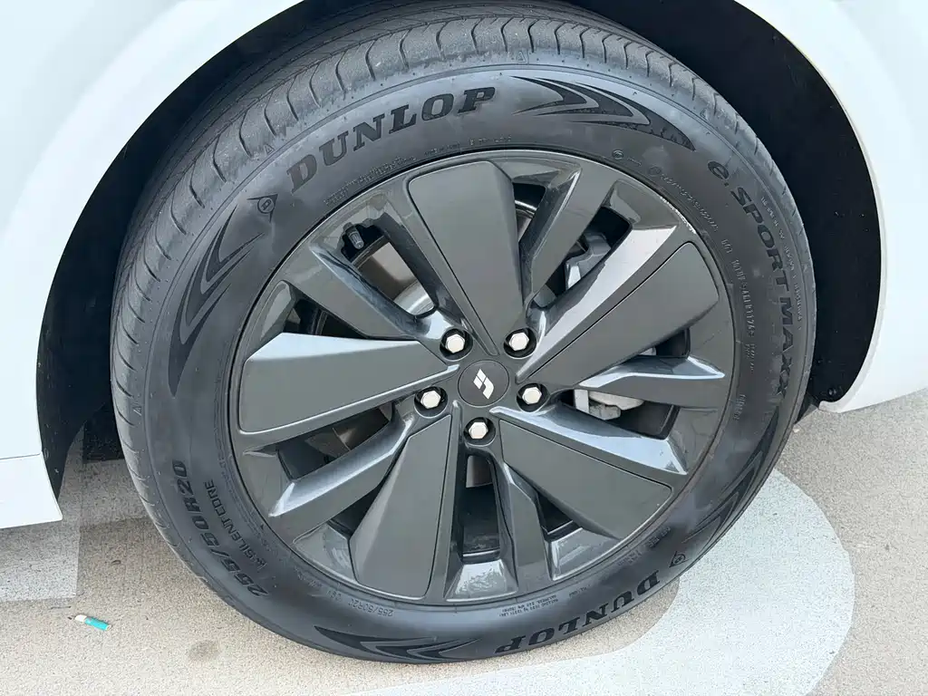 Li Auto Li L6 — фото 13