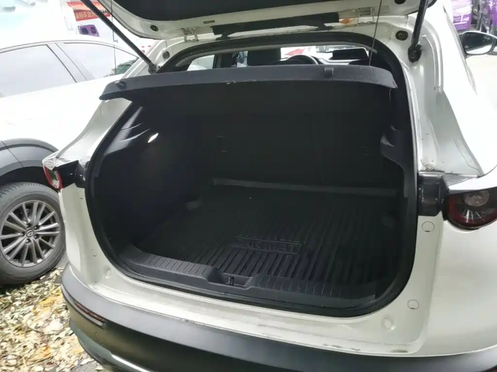 Mazda CX-30 EV — фото 19