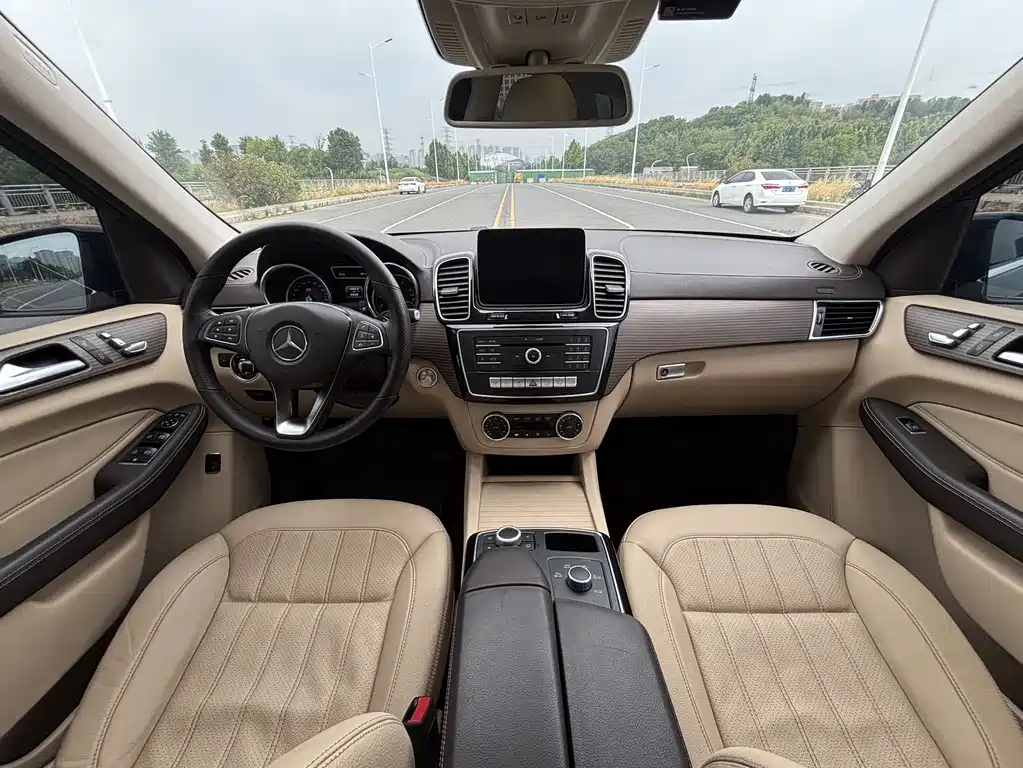 Mercedes-Benz GLE (Import) — фото 14