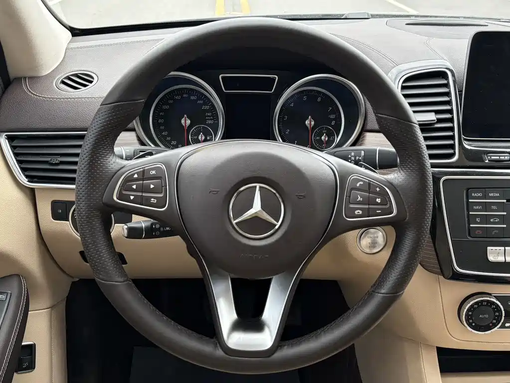 Mercedes-Benz GLE (Import) — фото 10