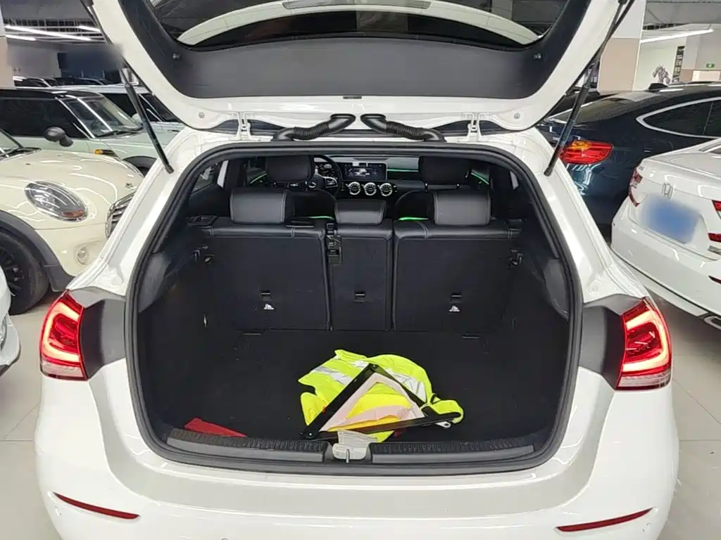 Mercedes-Benz A-Class (Import) — фото 19