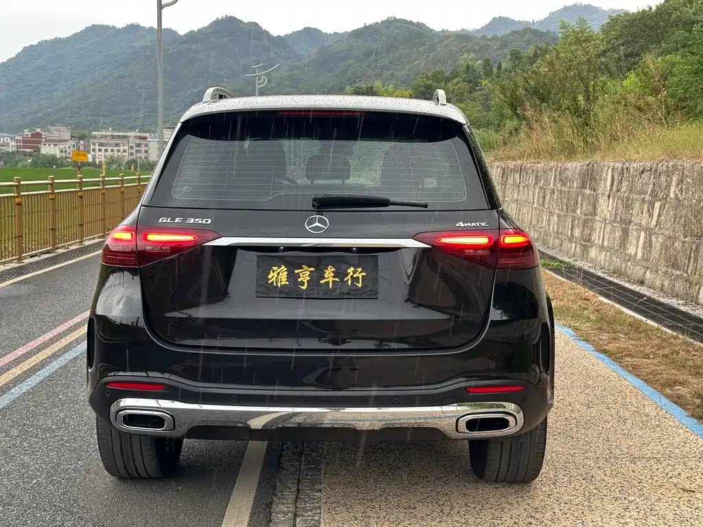 Mercedes-Benz GLE (Import) — фото 14