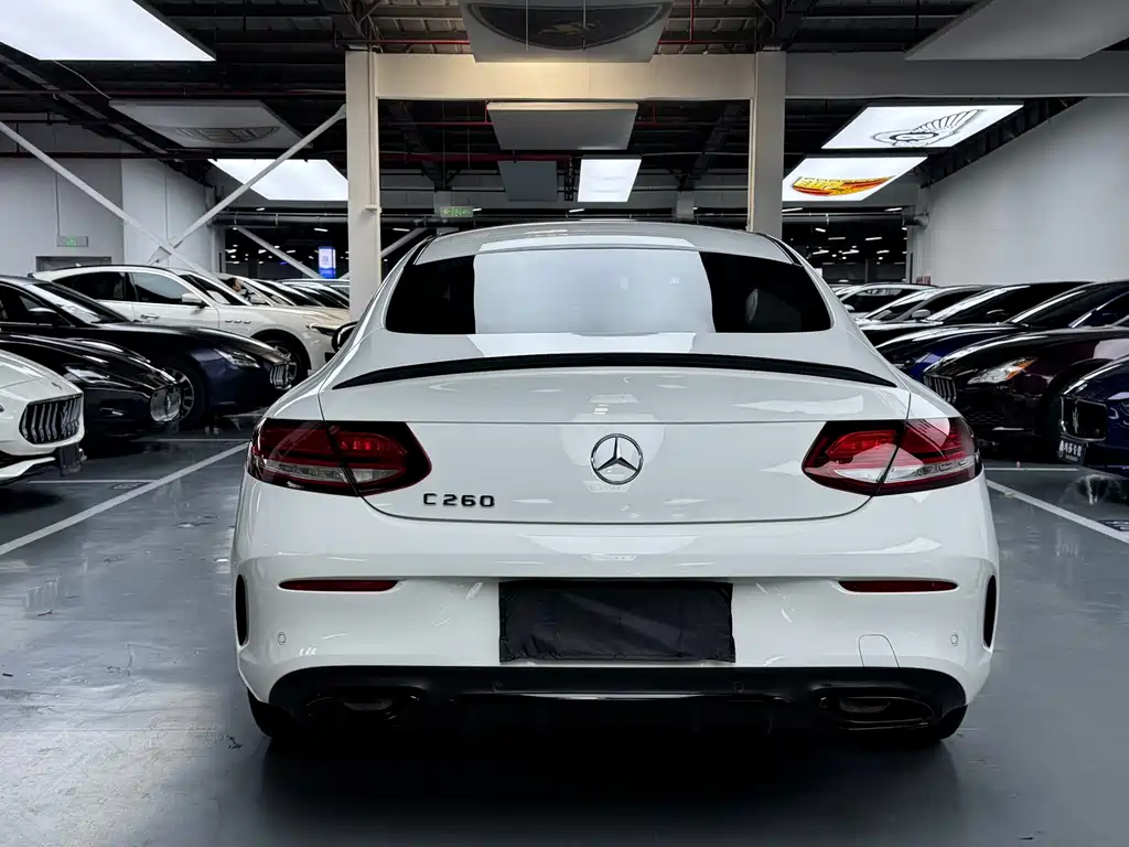 Mercedes-Benz C-Class (Import) — фото 25