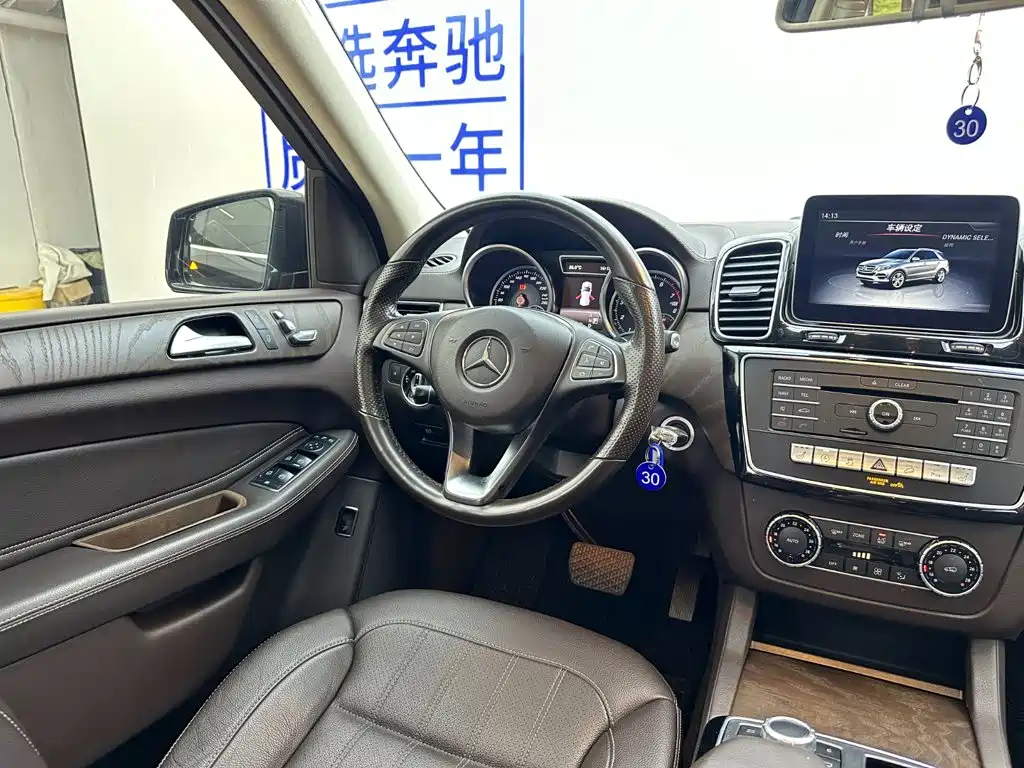 Mercedes-Benz GLE (Import) — фото 20