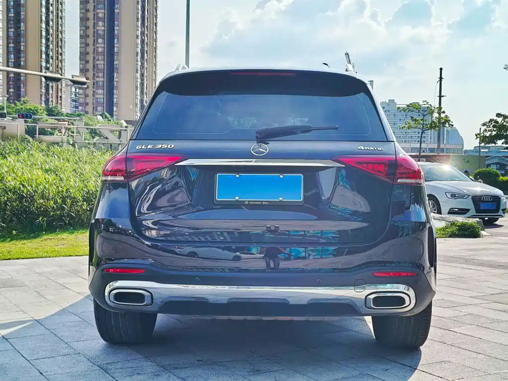Mercedes-Benz GLE (Import) — фото 5