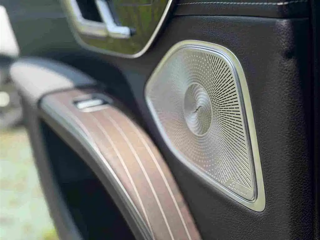 Mercedes-Benz EQS SUV — фото 18