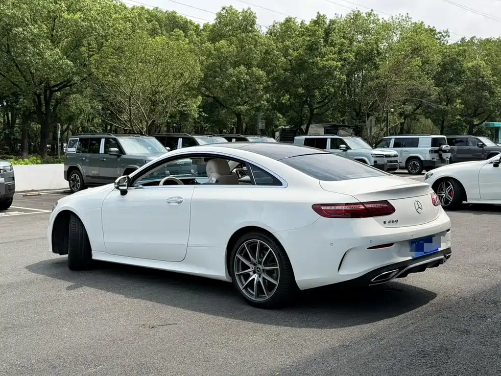 Mercedes-Benz E-Class (Import) — фото 11