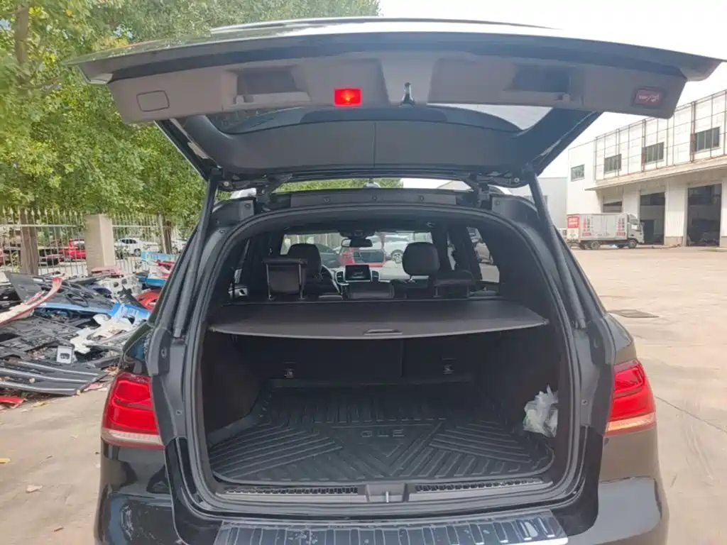 Mercedes-Benz GLE (Import) — фото 19