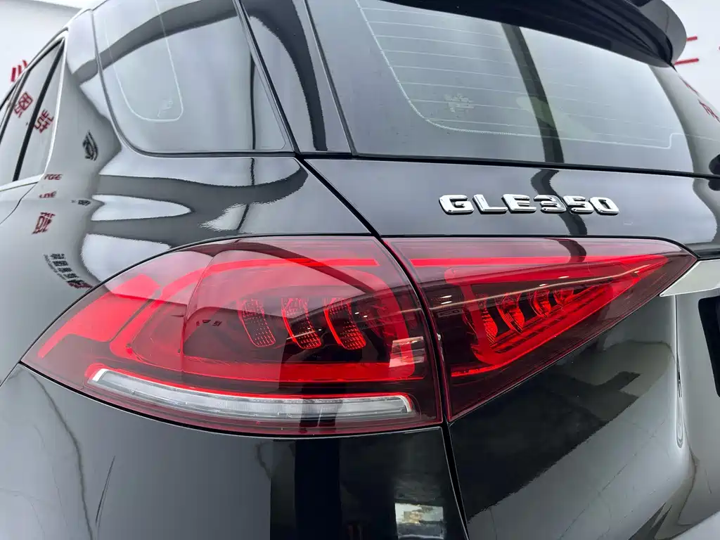 Mercedes-Benz GLE (Import) — фото 25