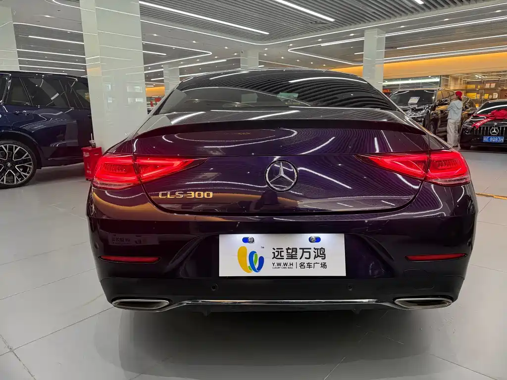 Mercedes-Benz CLS — фото 9