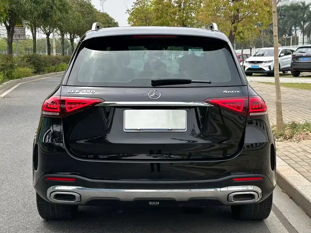 Mercedes-Benz GLE (Import) — фото 14