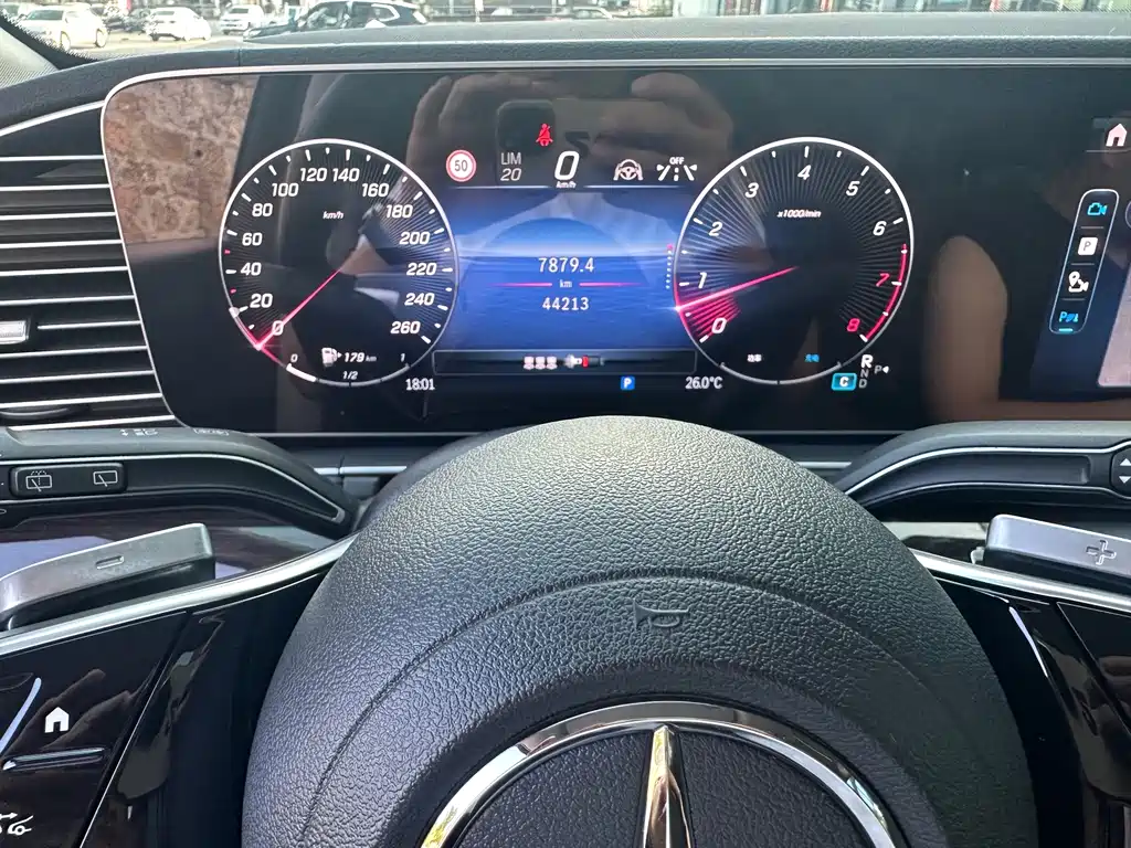 Mercedes-Benz GLE (Import) — фото 19