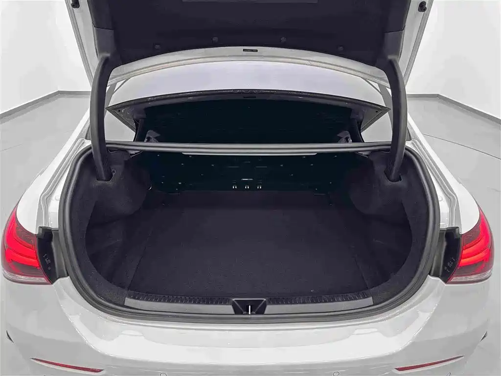 Mercedes-Benz A-Class AMG — фото 26