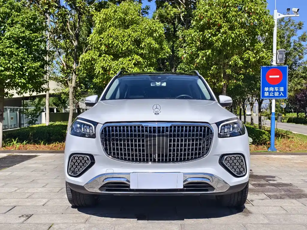 Mercedes-Benz GLS — фото 2