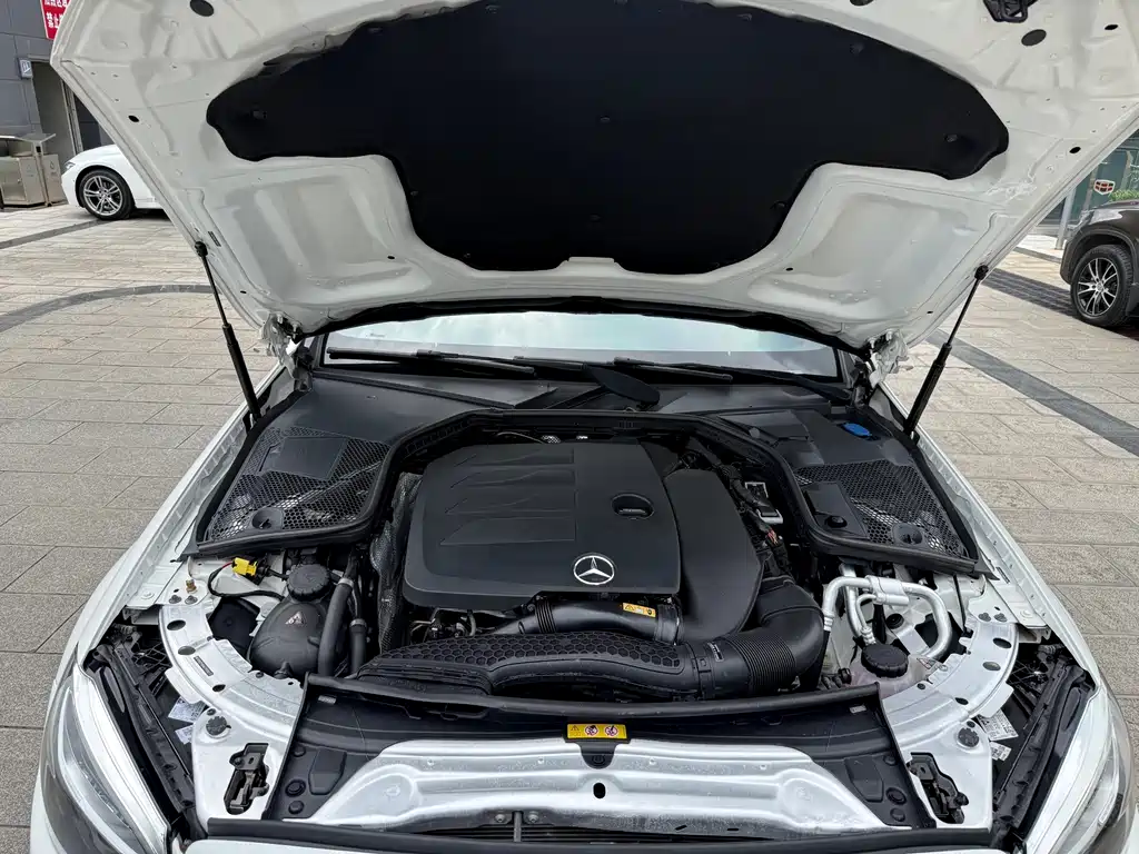 Mercedes-Benz C-Class (Import) — фото 31