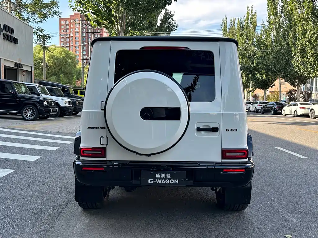 Mercedes-Benz G-Class AMG — фото 5