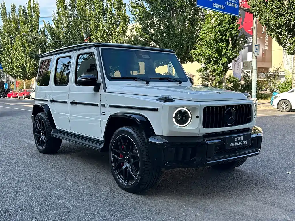 Mercedes-Benz G-Class AMG — фото 6