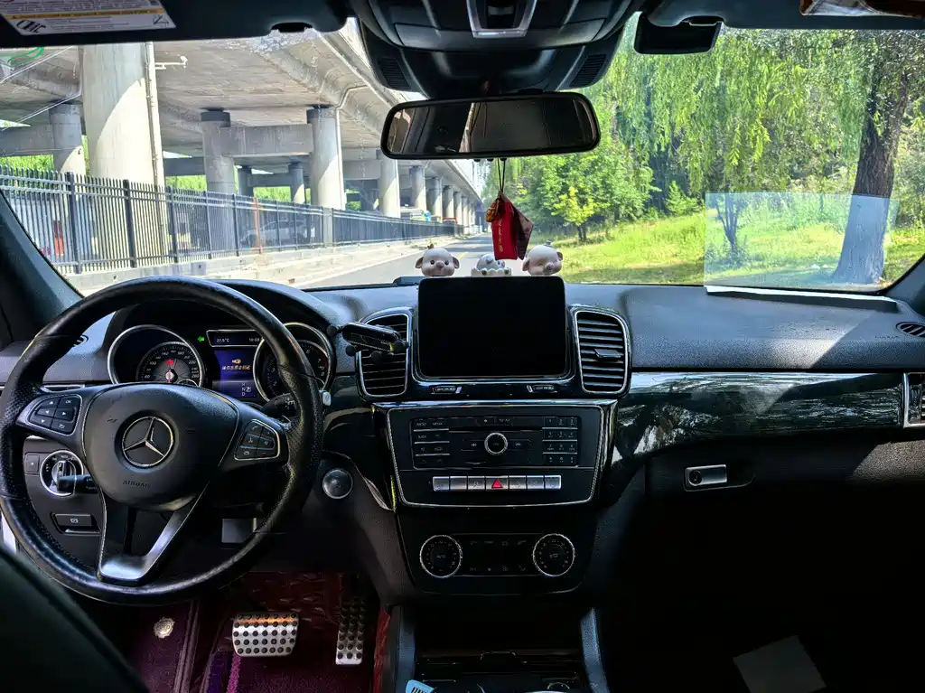 Mercedes-Benz GLE (Import) — фото 7