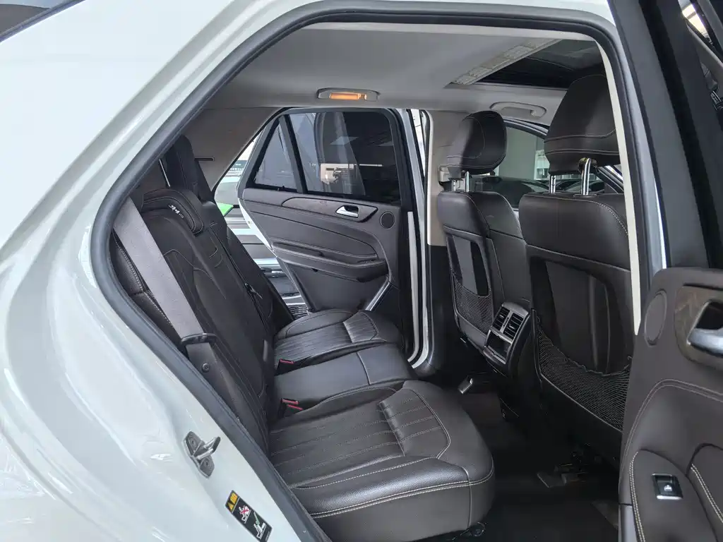 Mercedes-Benz GLE (Import) — фото 11