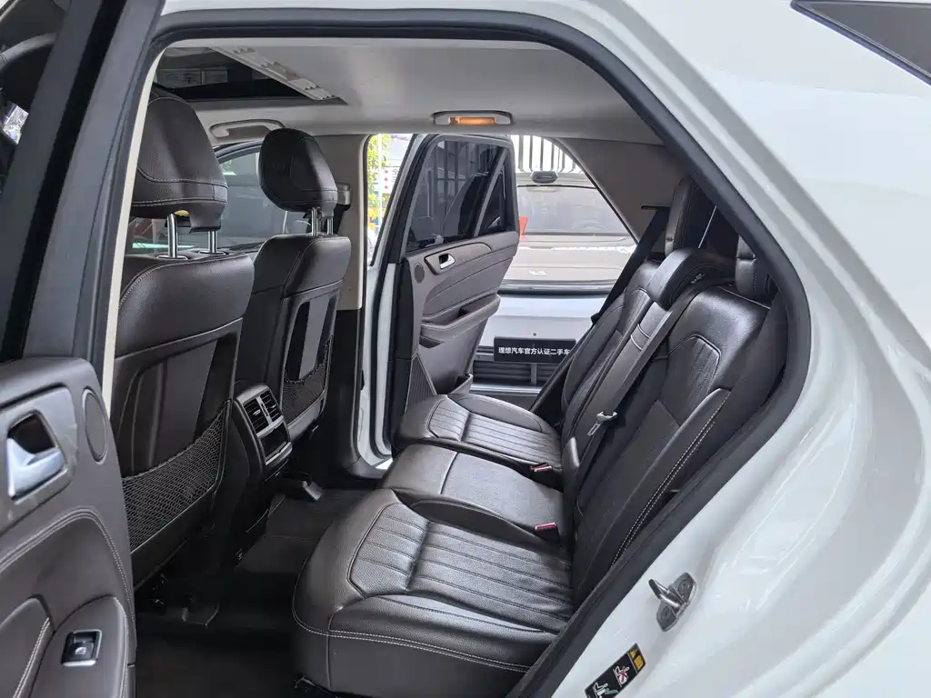 Mercedes-Benz GLE (Import) — фото 10
