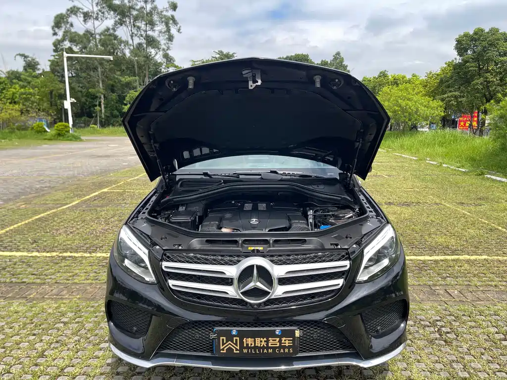 Mercedes-Benz GLE (Import) — фото 20
