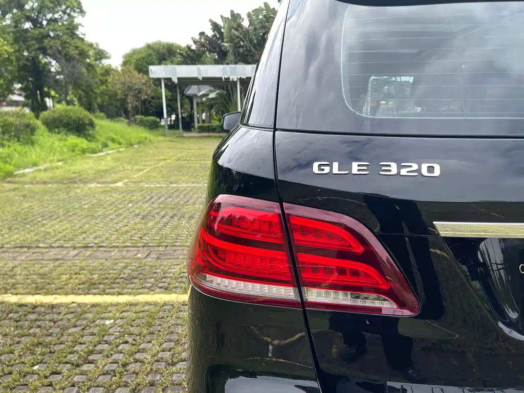 Mercedes-Benz GLE (Import) — фото 23