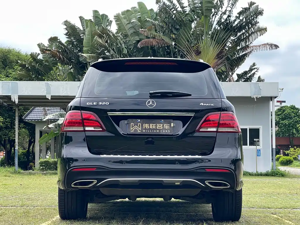 Mercedes-Benz GLE (Import) — фото 5