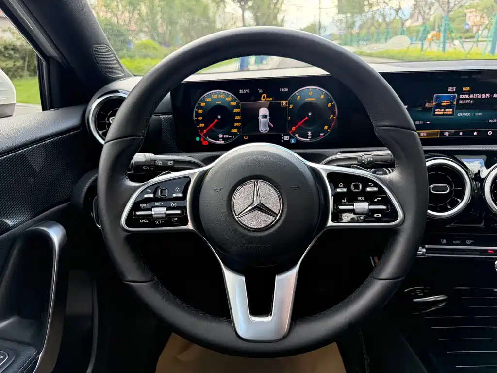 Mercedes-Benz A-Class (Import) — фото 14