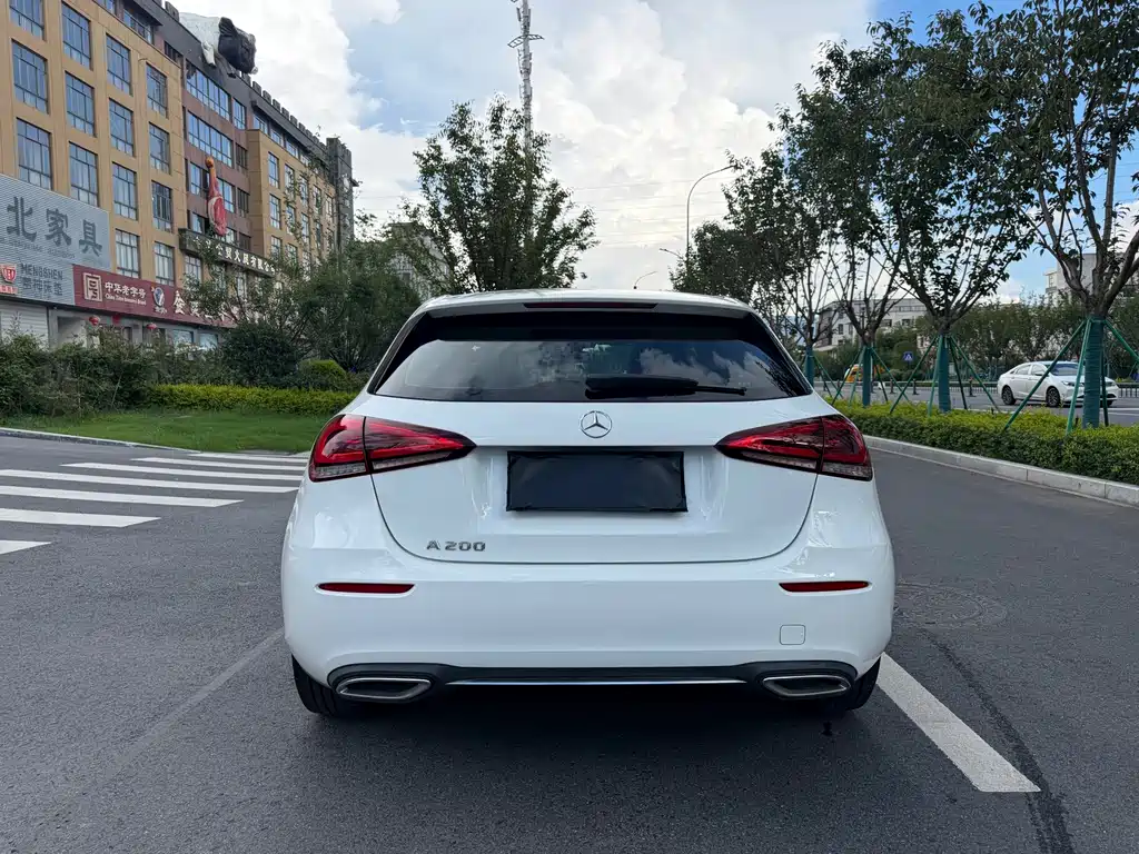 Mercedes-Benz A-Class (Import) — фото 6