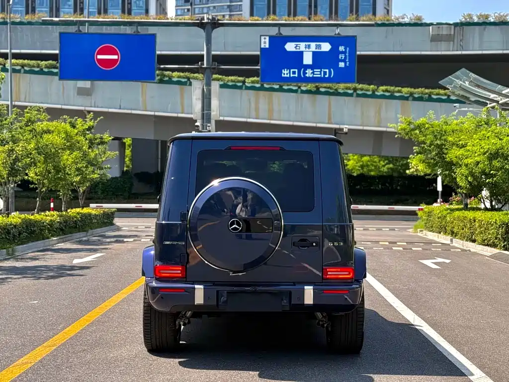 Mercedes-Benz G-Class AMG — фото 8