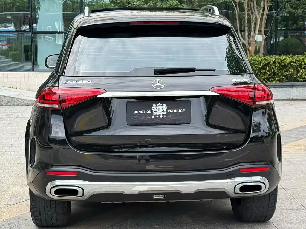 Mercedes-Benz GLE (Import) — фото 5