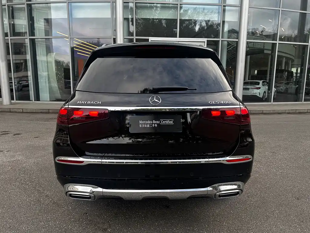 Mercedes-Benz GLS — фото 13
